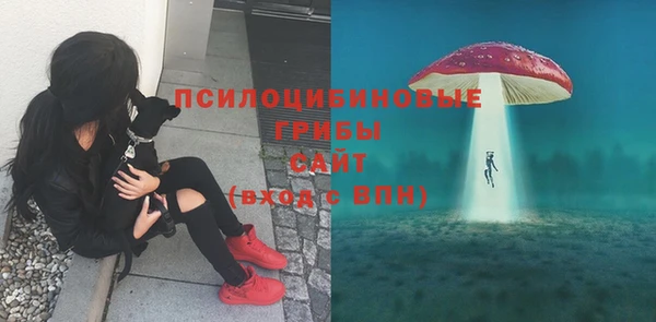 ПСИЛОЦИБИНОВЫЕ ГРИБЫ Алексин