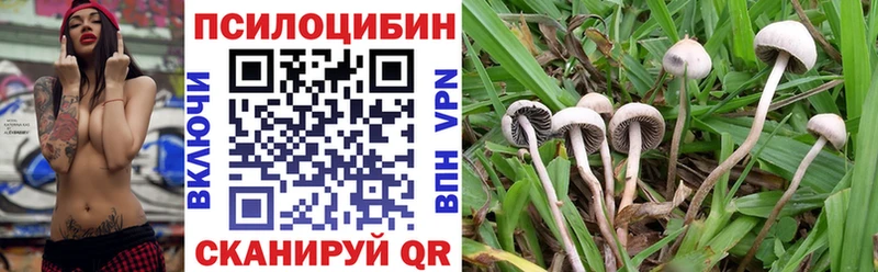 Псилоцибиновые грибы MAGIC MUSHROOMS  Ялта 
